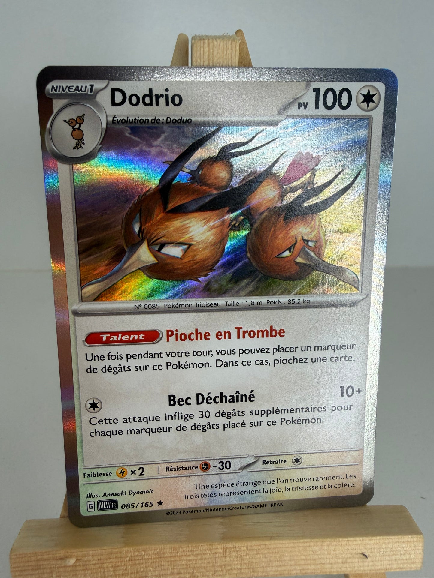 Dodrio Holo lageekeriedeju