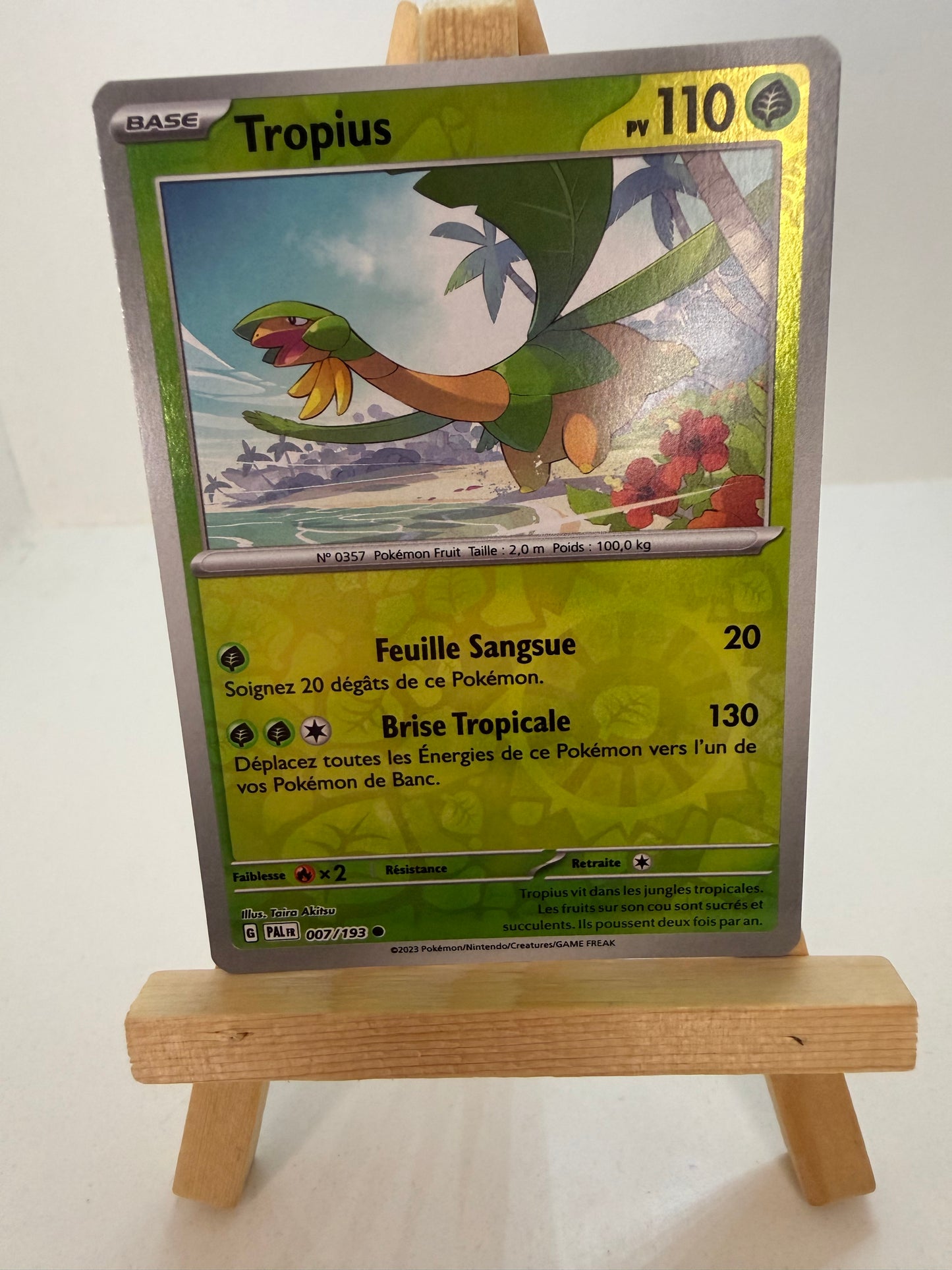 Tropius Reverse