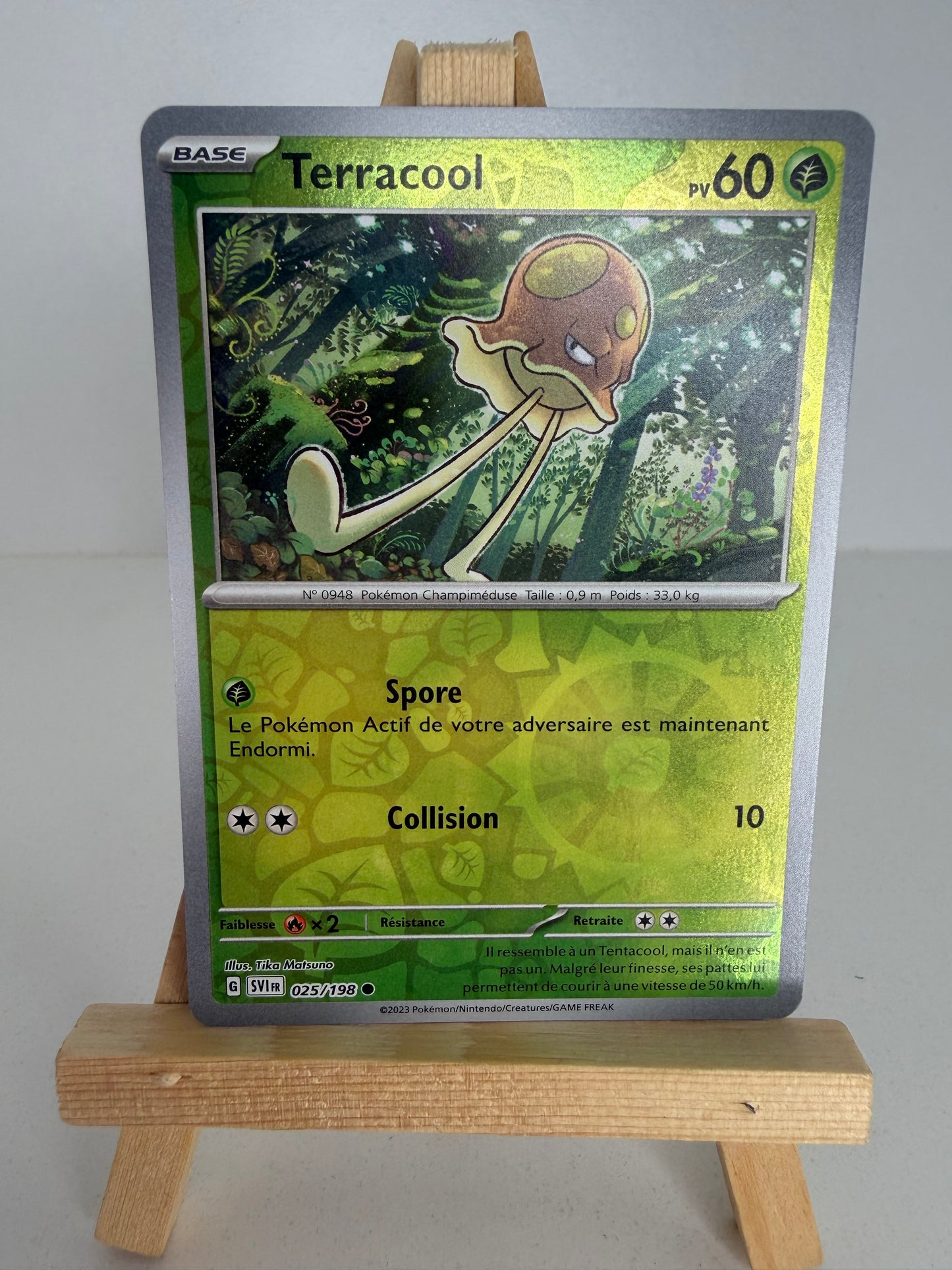 Terracool Reverse