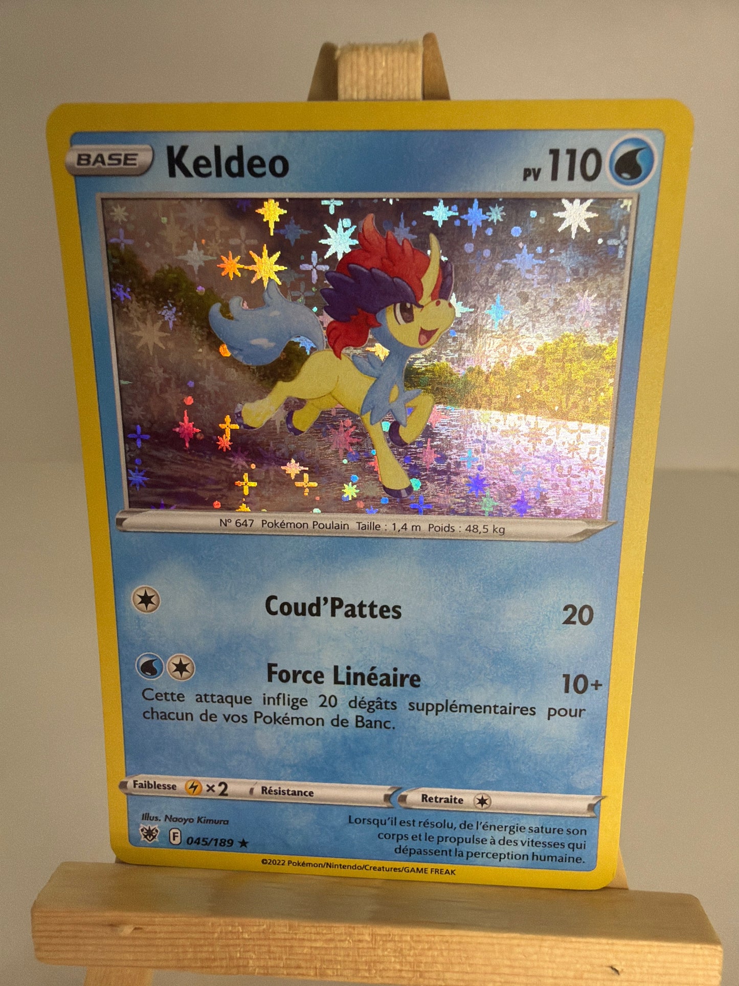 Keldeo Holo lageekeriedeju