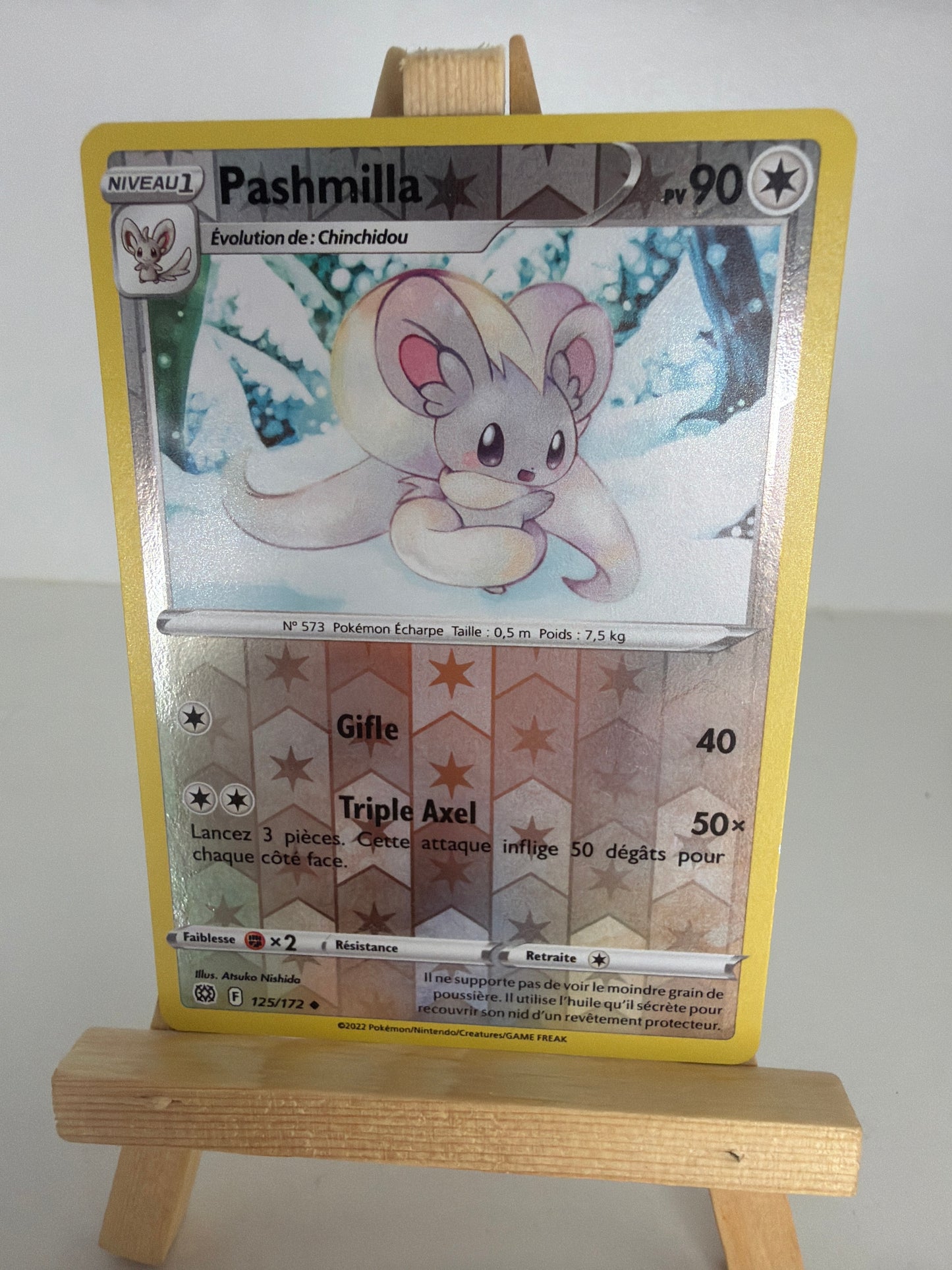 Pashmilla Reverse