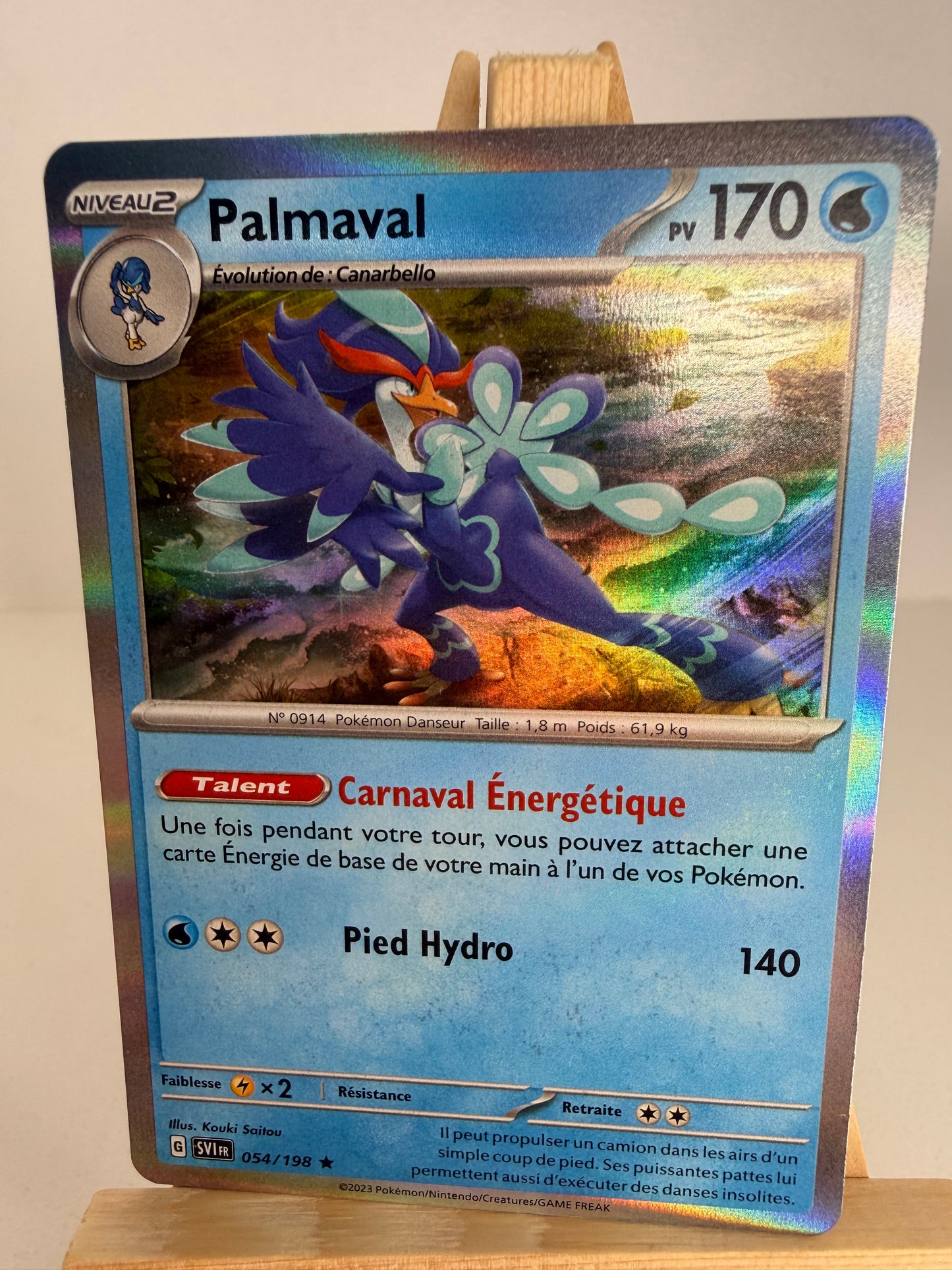 Palmaval Holo