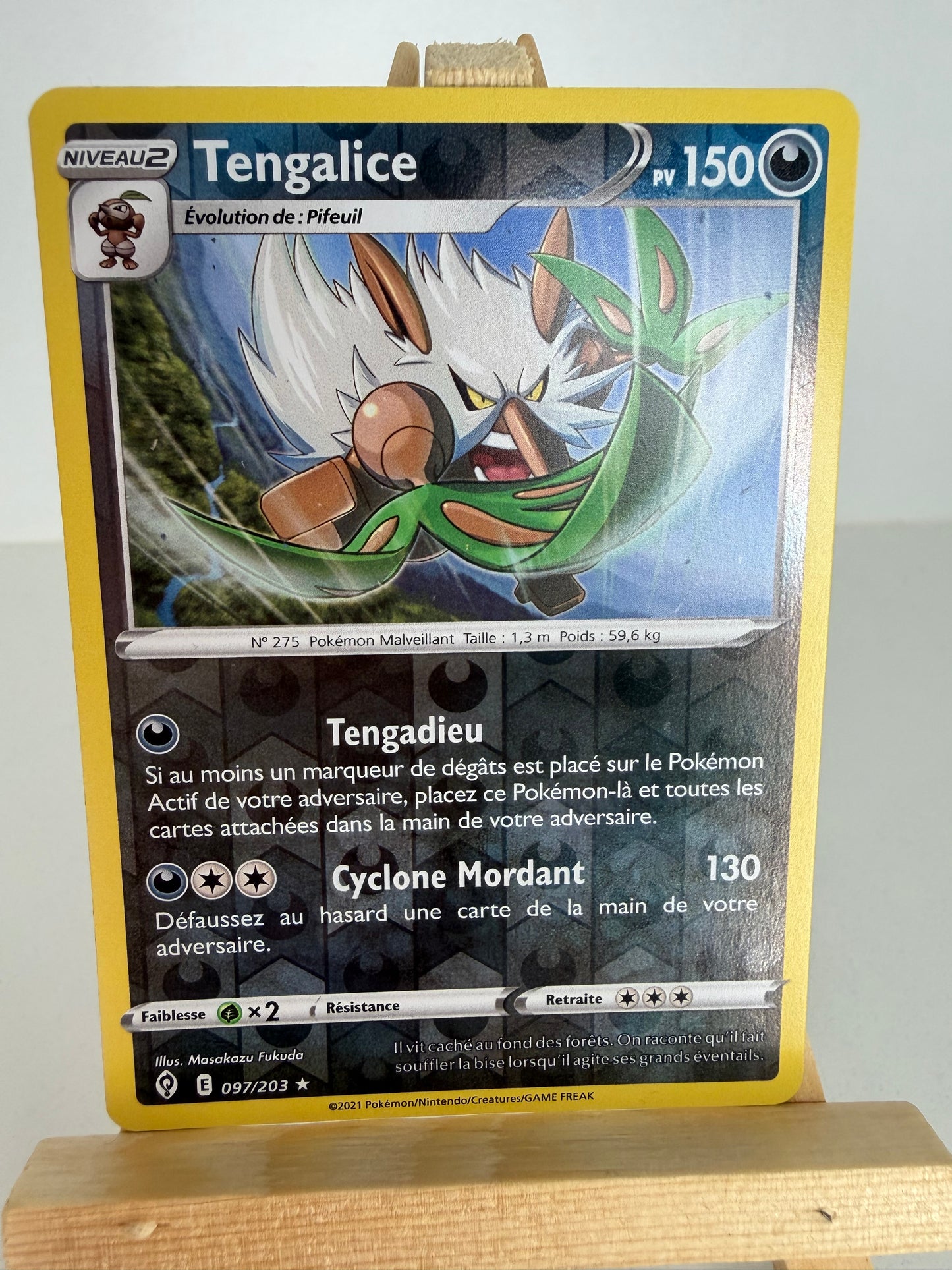 Tengalice Reverse