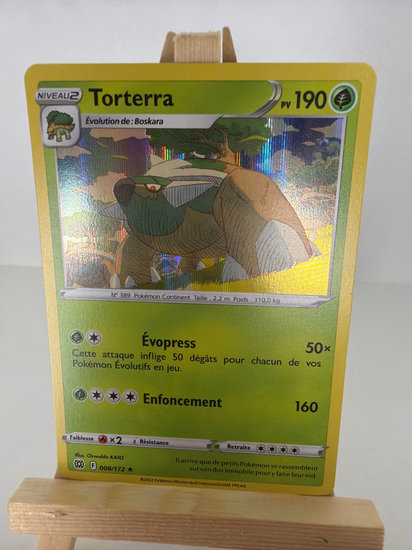 Torterra Holo