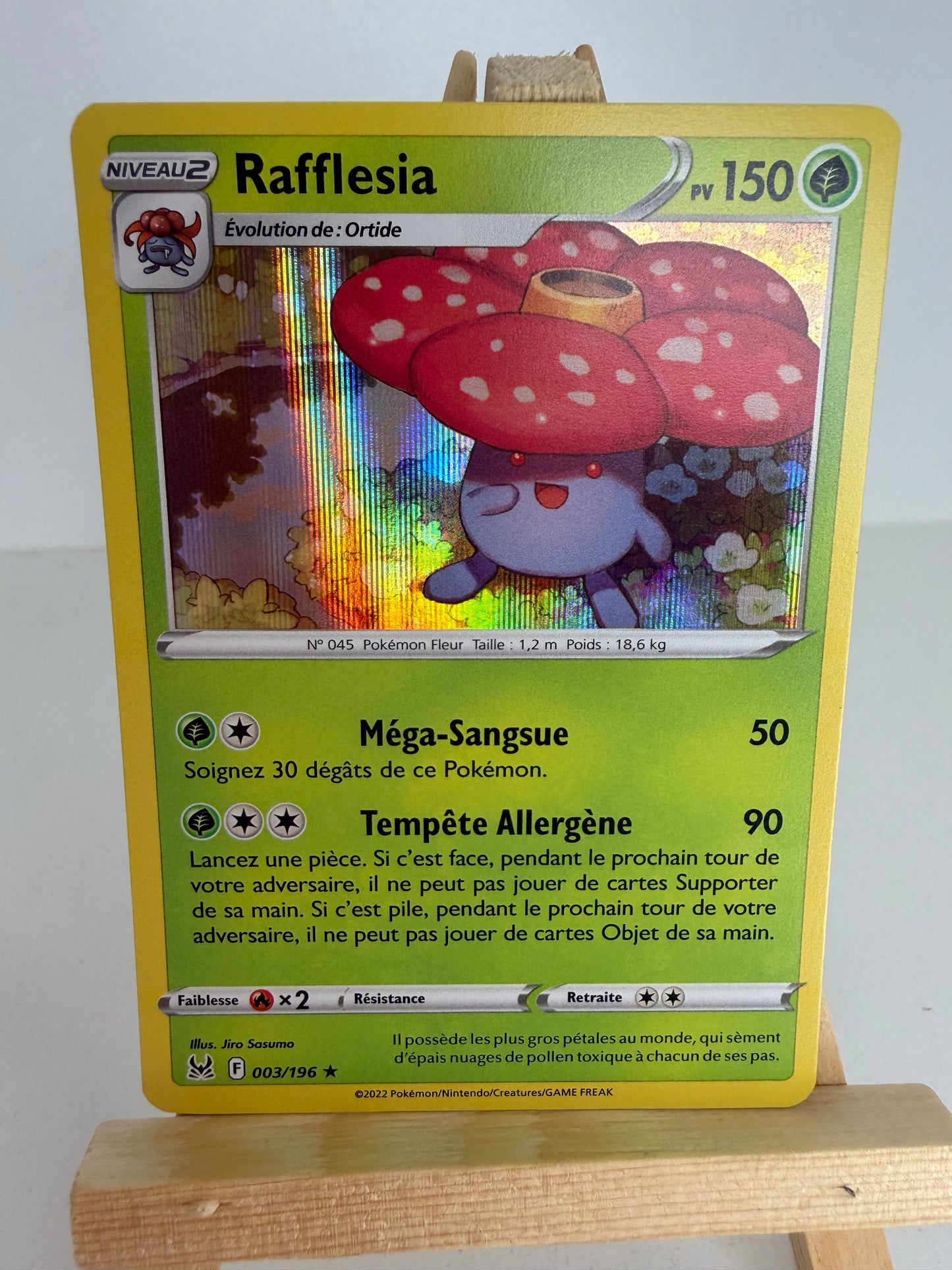 Rafflesia Holo
