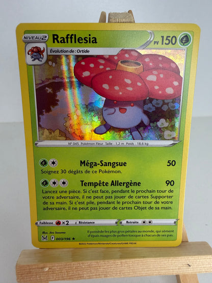 Rafflesia Holo