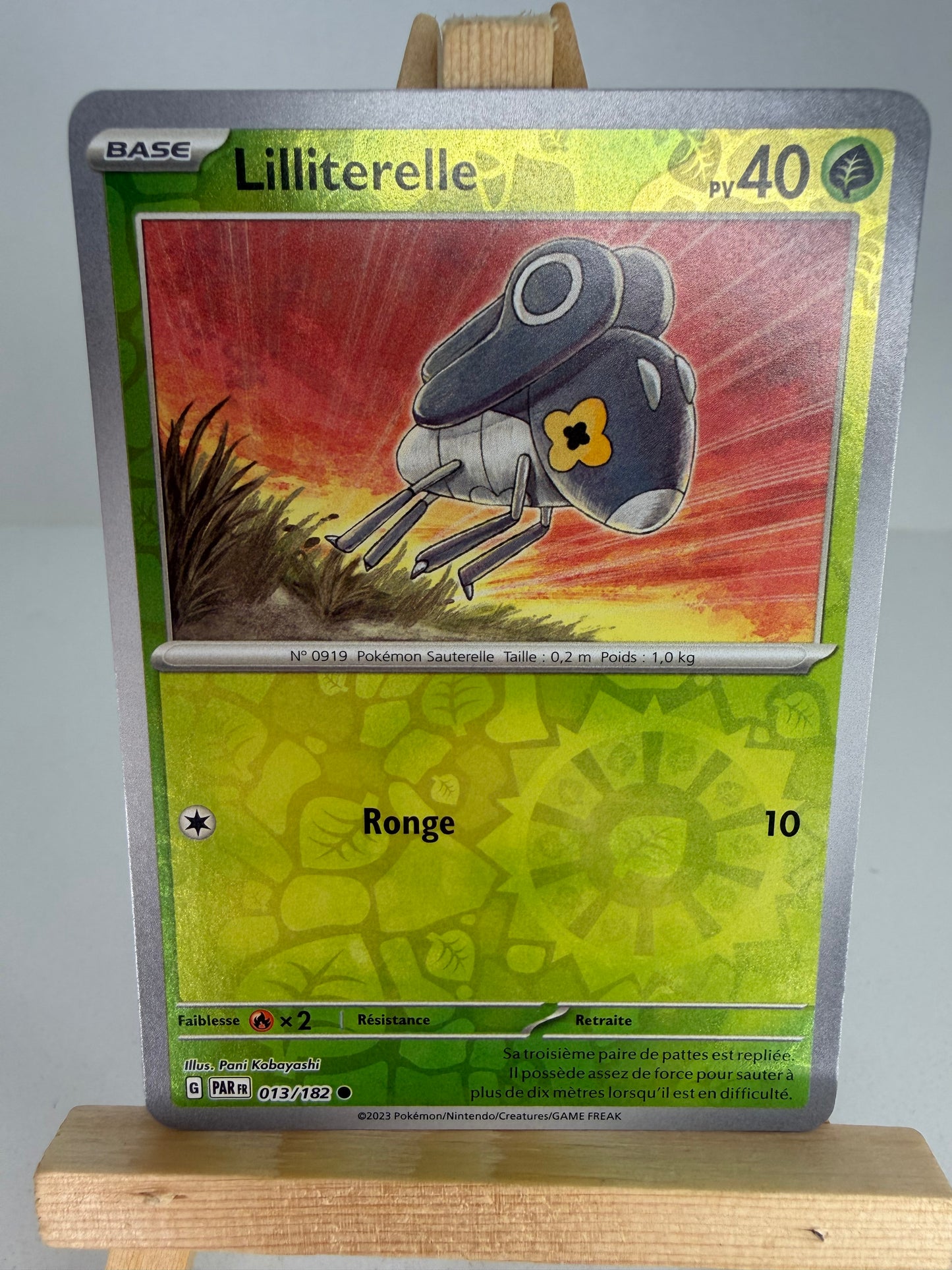 Lilliterelle Reverse