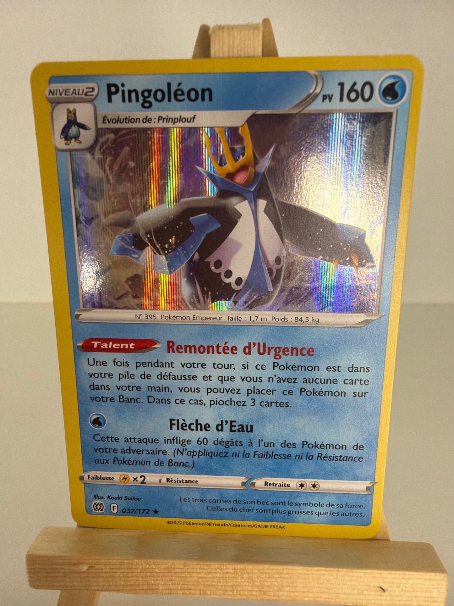 Pingoléon Holo
