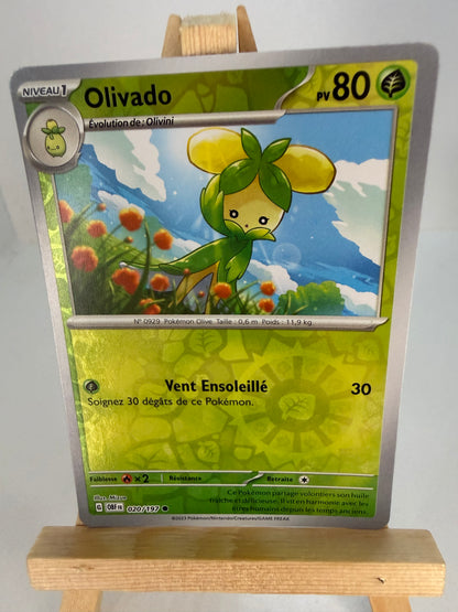 Olivado Reverse