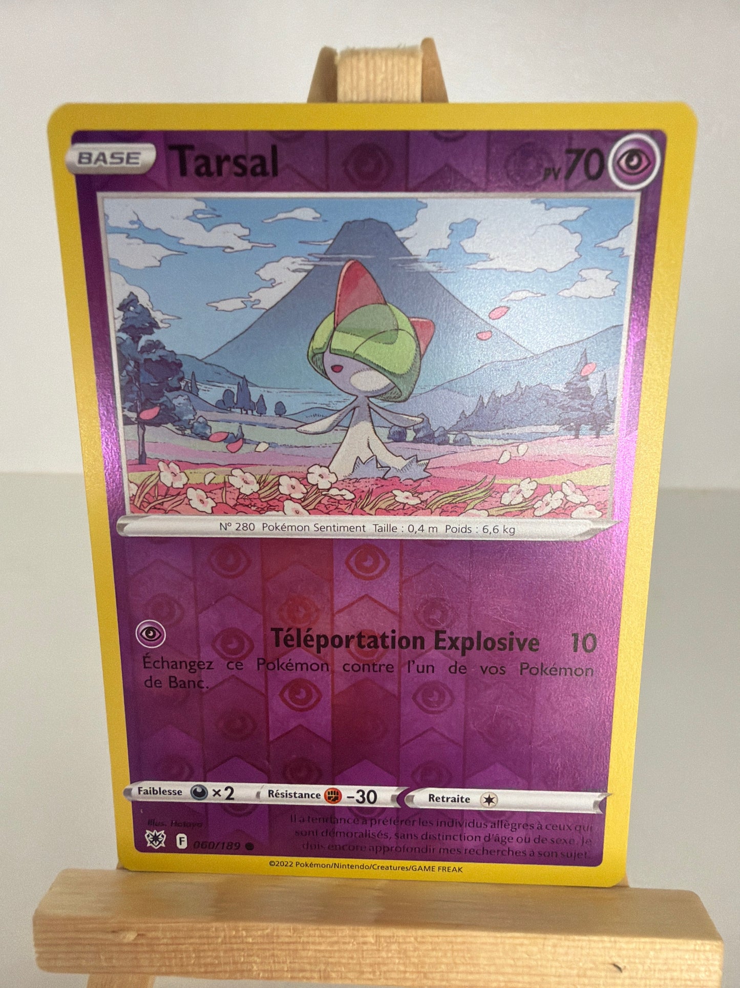 Tarsal Reverse lageekeriedeju