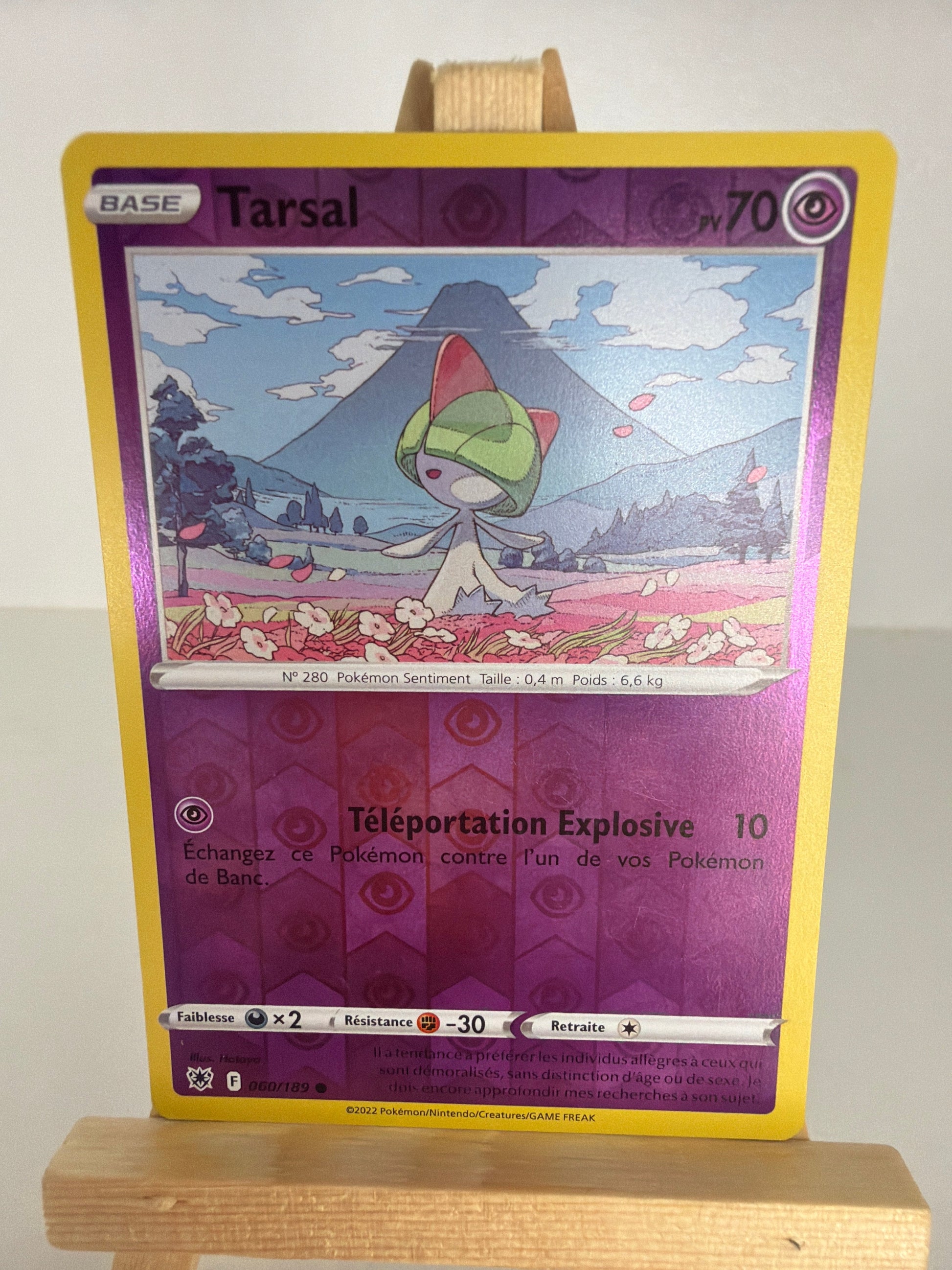 Tarsal Reverse lageekeriedeju