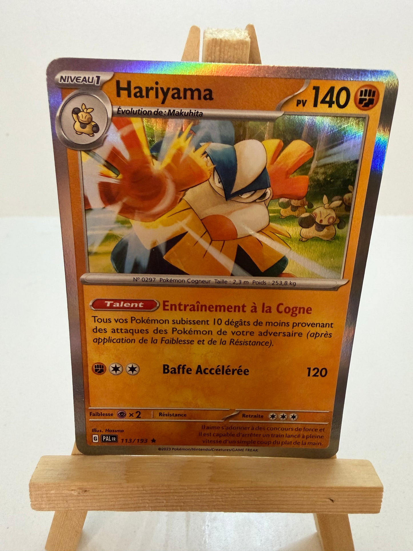 Hariyama Holo