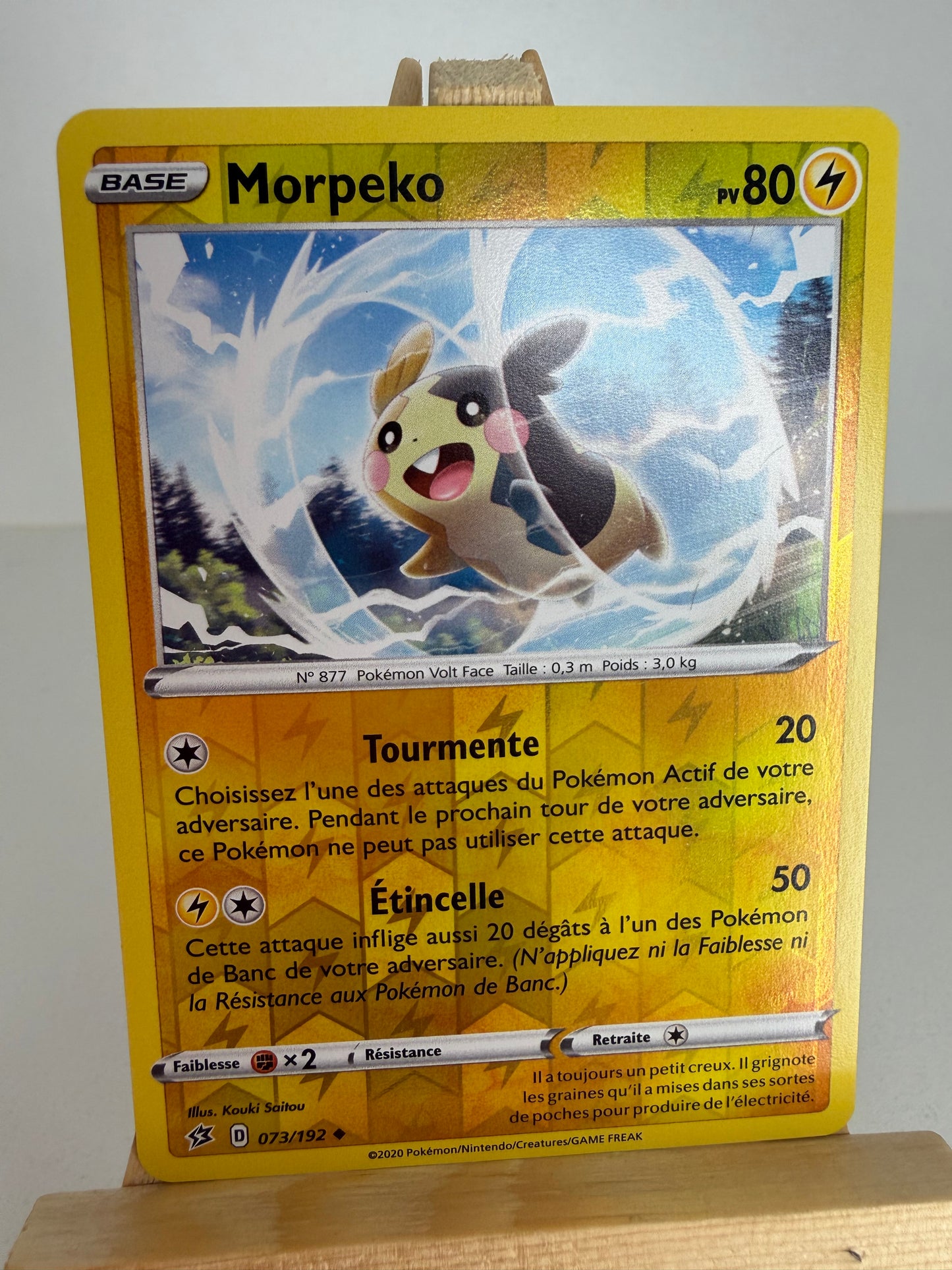 Morpeko Reverse
