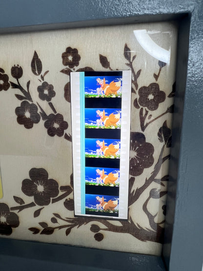 Cadre pellicule de film - Pokémon - Evoli